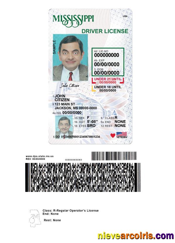 USA Mississippi driving license